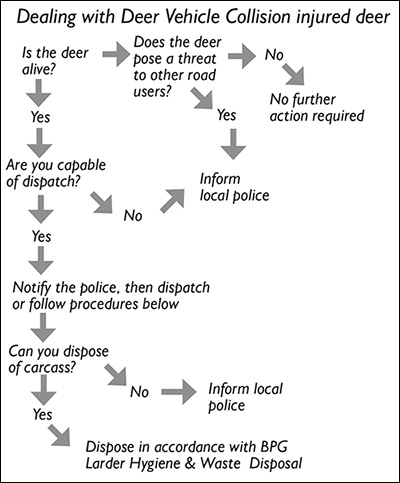 culling humaneDispatch04 Best Practice Guidance